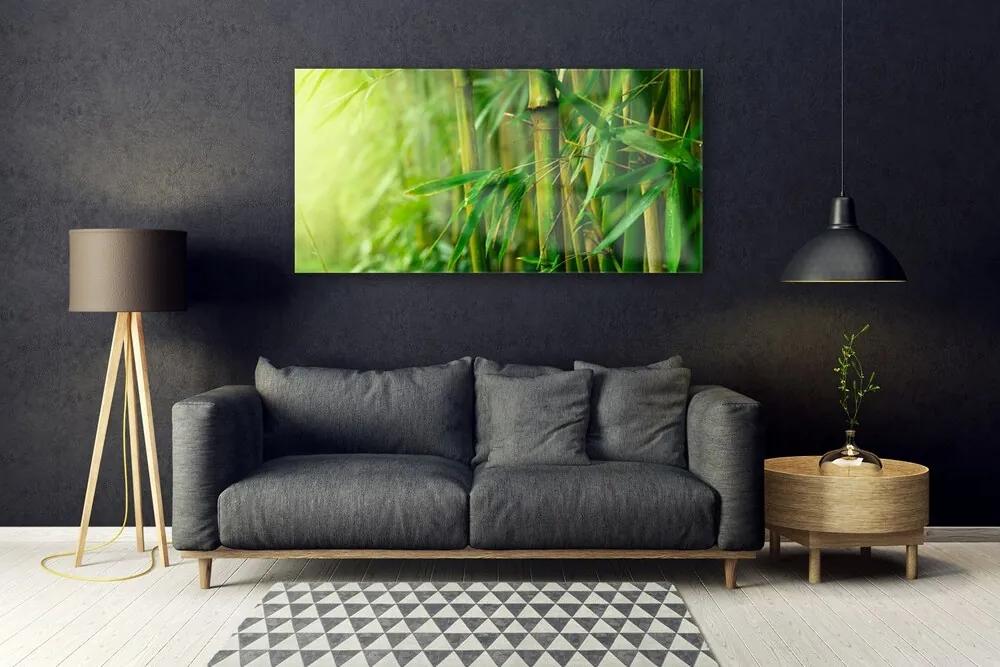 Obraz na akrylátovom skle Bambus stonky rastlina 120x60 cm