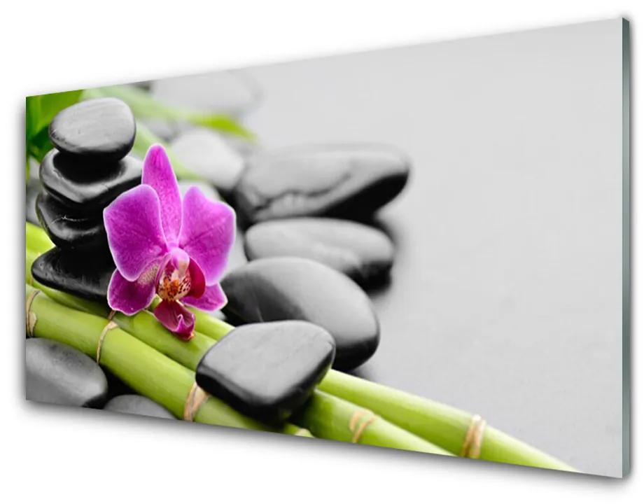 Obraz plexi Bambus kvet kamene umenie 100x50cm