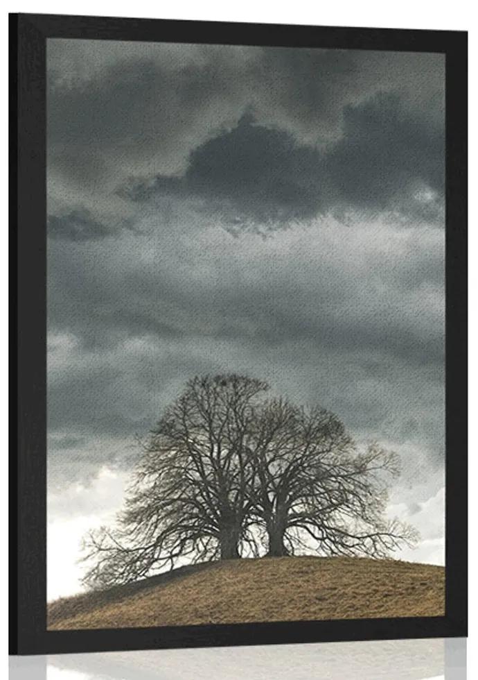 Plagát osamelé stromy - 30x45 white
