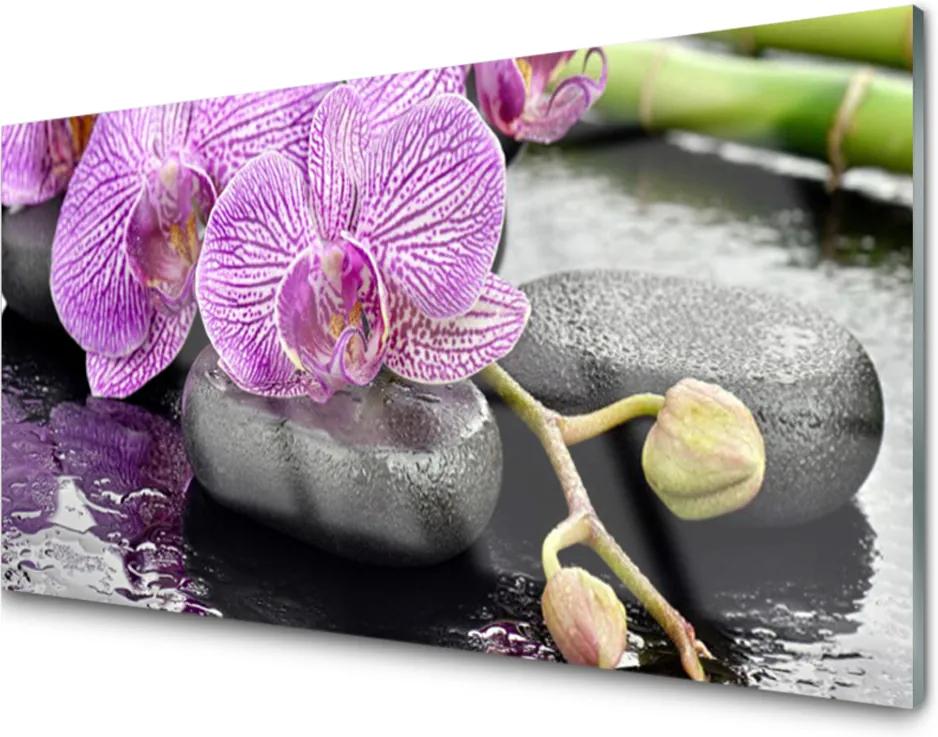 Sklenený obklad Do kuchyne Kamene Zen Orchidea Kúpele