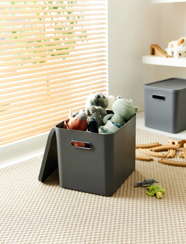 Rotho 2. akosť - Úložný box, rovný s vekom, 27l, antracit ALBU LIGHT, 37x29x30 (biele veko)