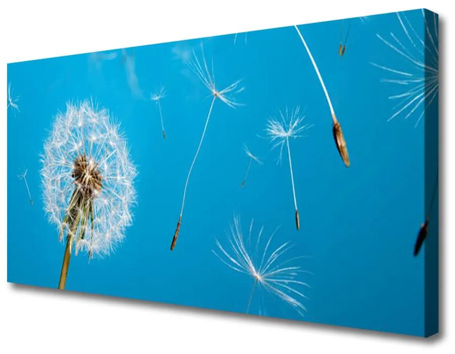 Obraz Canvas Púpavy kvety príroda 140x70cm
