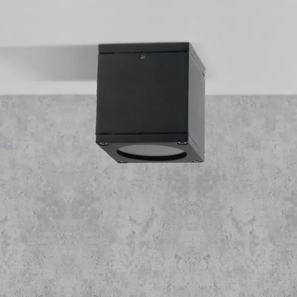 Vonkajšie nástenné svietidlo MORRIS 1xGU10/35W/230V IP54