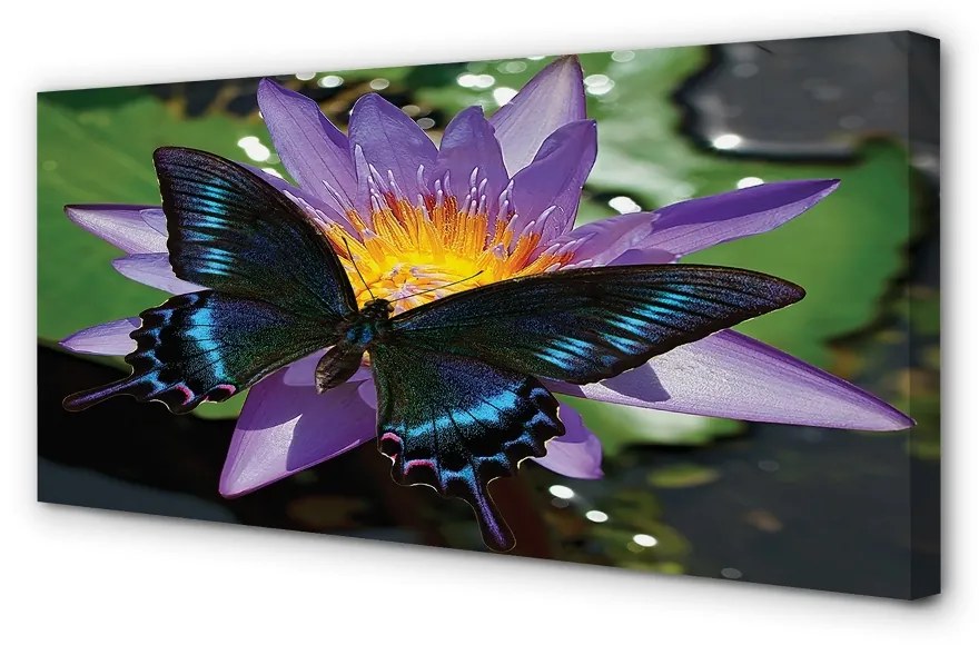 Obraz na plátne motýľ kvetina 100x50 cm