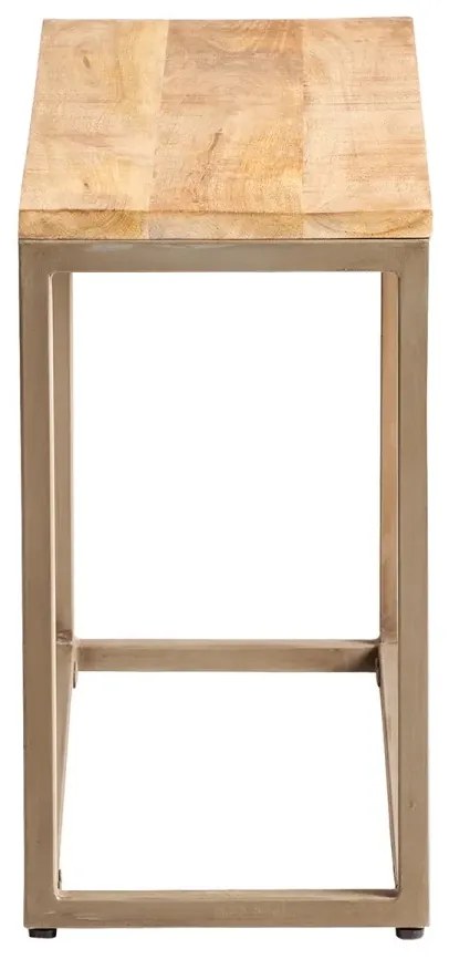 furniture-nabytek.cz - Masivní lavice Pune z mangového dřeva, lakovaná, hnědá