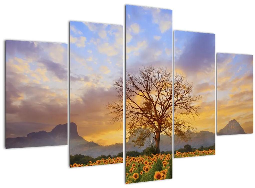 Obraz - Krajina so slnečnicami (150x105 cm)