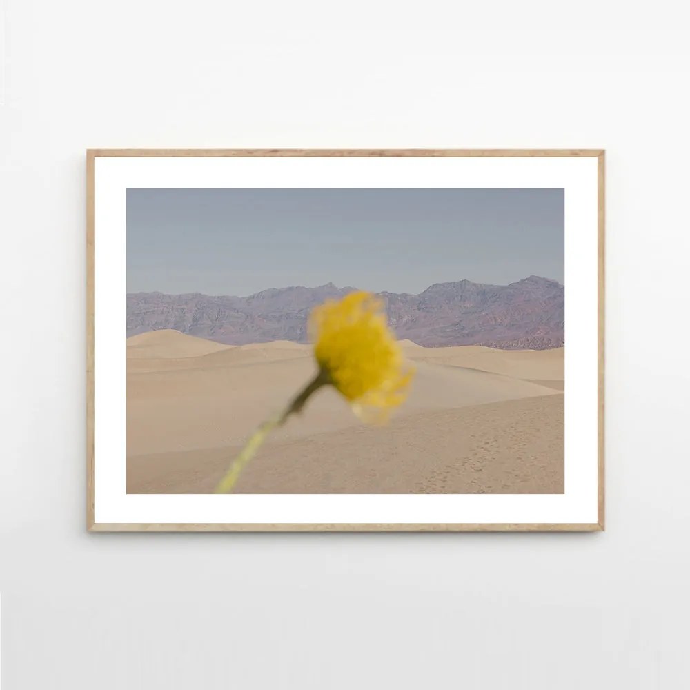 Moikka Plagát Desert Mirage by Nicole Mason A4 (21x27cm)