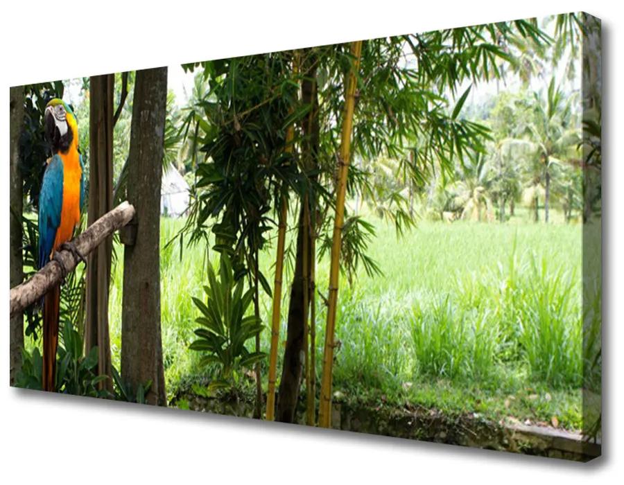 Obraz Canvas Papagáj stromy príroda 140x70 cm