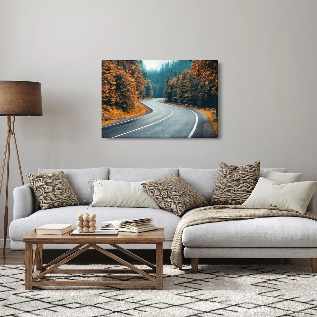 Obraz - Kľukatá cesta (90x60 cm)