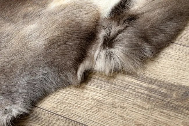 Koberec RENIFER POK019 hnedý