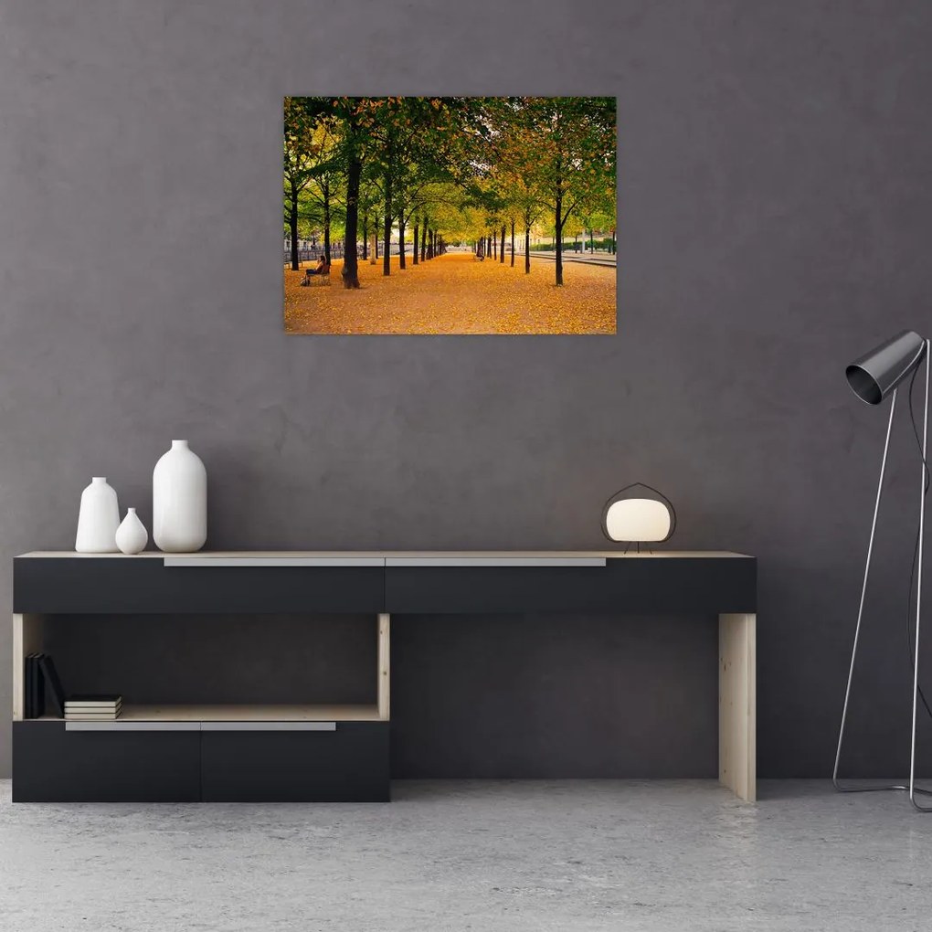 Sklenený obraz aleje jesenných stromov (70x50 cm)