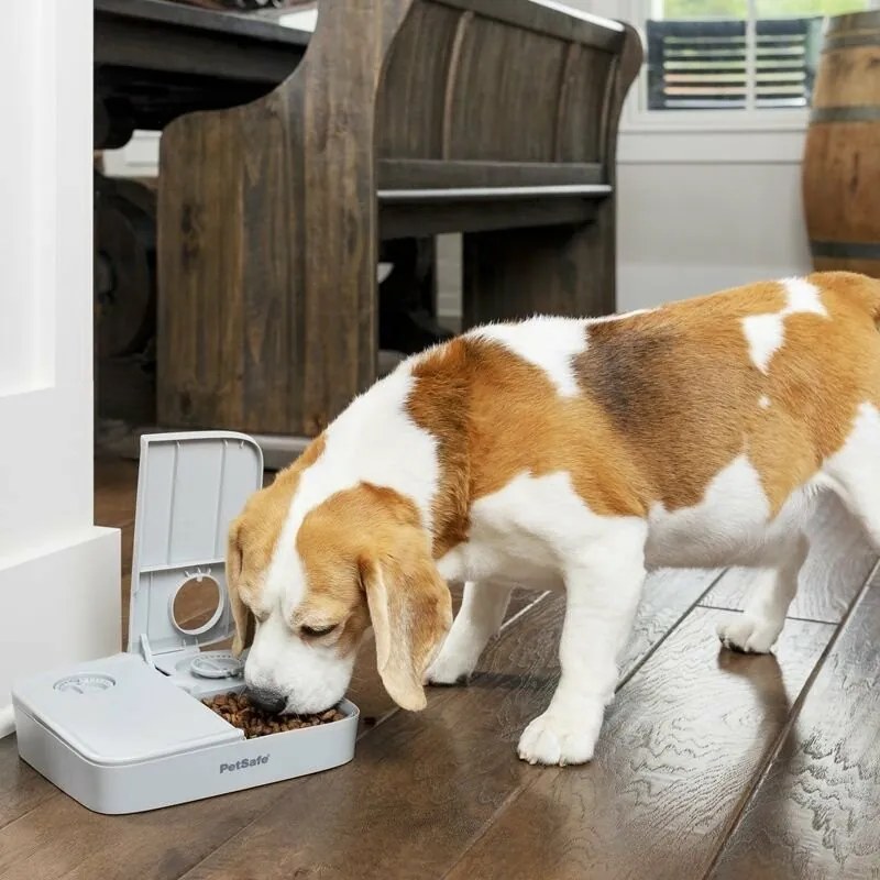 PetSafe® Kŕmidlo Automatic 2 Meal Pet Feeder