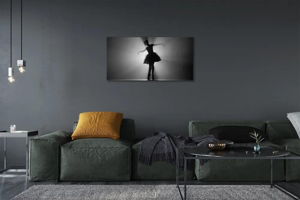 Obraz canvas Baletka sivé pozadie 125x50 cm
