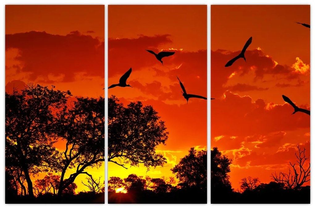 Obraz zapadajúceho slnka s vtákmi