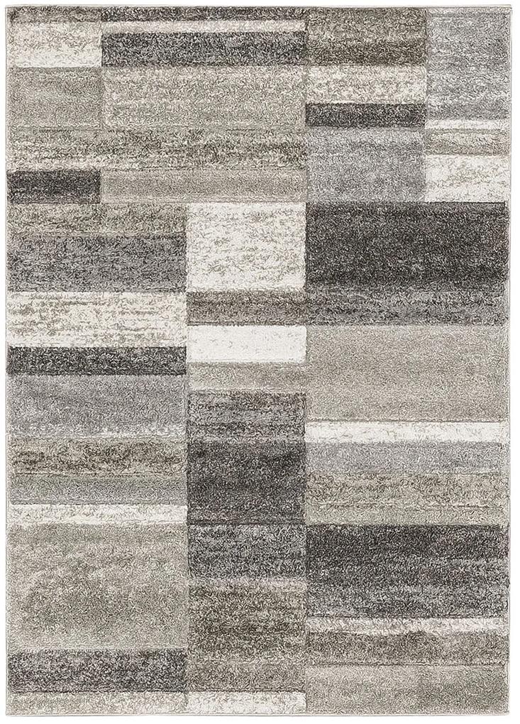 Koberce Breno Kusový koberec CASTRO Carved 5507/NQ2J, viacfarebná,160 x 235 cm
