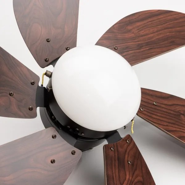 ZEVENTI - Stropný ventilátor FAMARA 1xE14/60W/230V