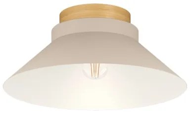 Eglo 900736 - Stropné svietidlo MOHARRAS 1xE27/40W/230V