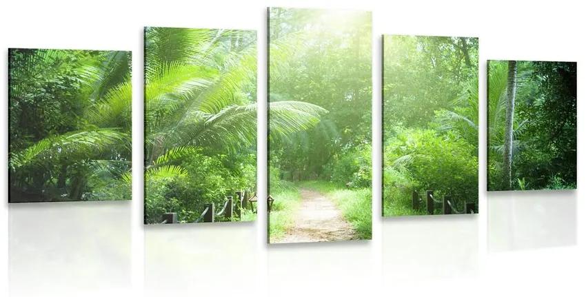 5-dielny obraz cestička na ostrove Seychely Varianta: 200x100