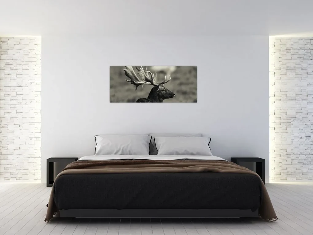 Obraz - Jeleň (120x50 cm)