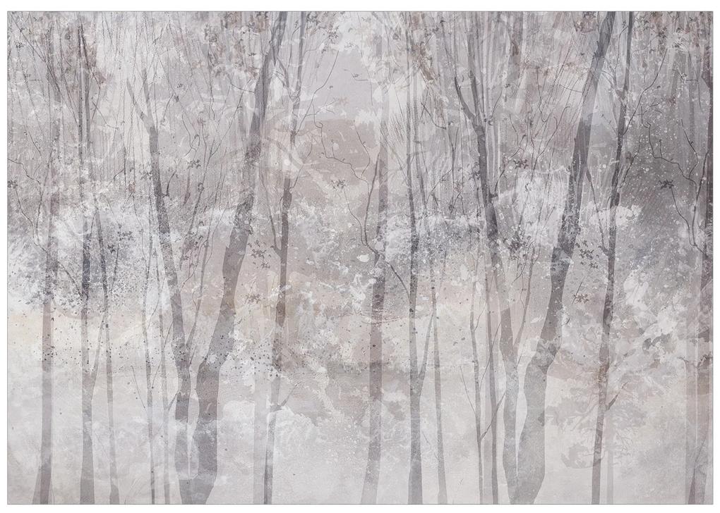 Artgeist Fototapeta - Eternal Forest Veľkosť: 147x105, Verzia: Samolepiaca