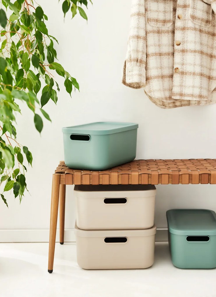 Rotho Úložný box, rovný s vekom, 12 l, matne zelený ALBU LIGHT, 40x24x18