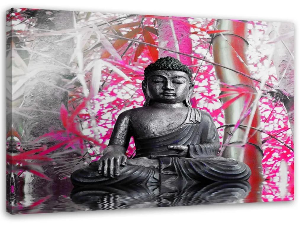 Obraz na plátně Buddha Bamboo Pink - 120x80 cm