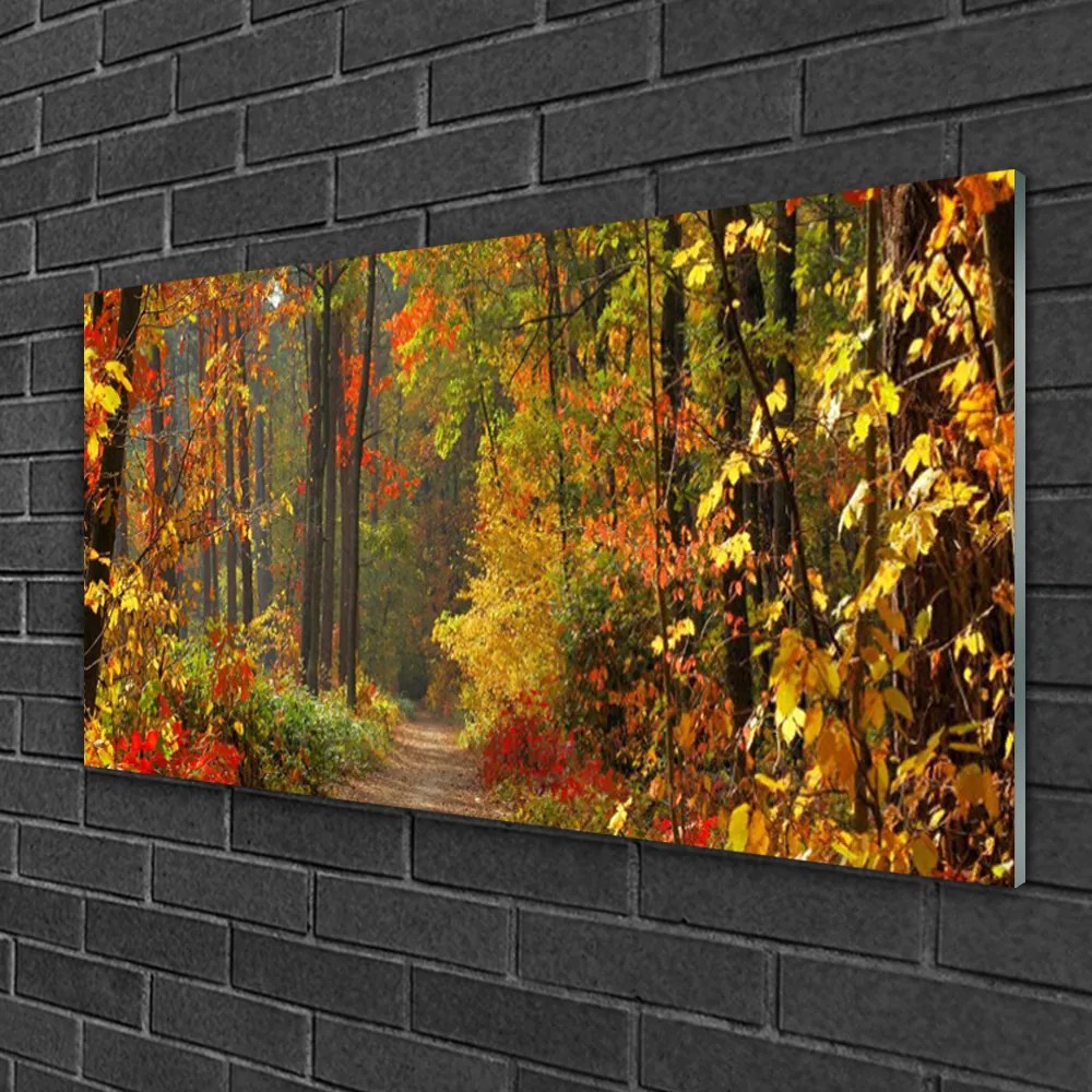 Skleneny obraz Les príroda jeseň 120x60 cm