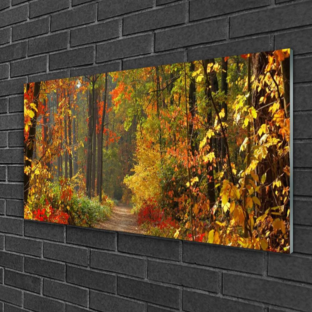Skleneny obraz Les príroda jeseň 125x50 cm