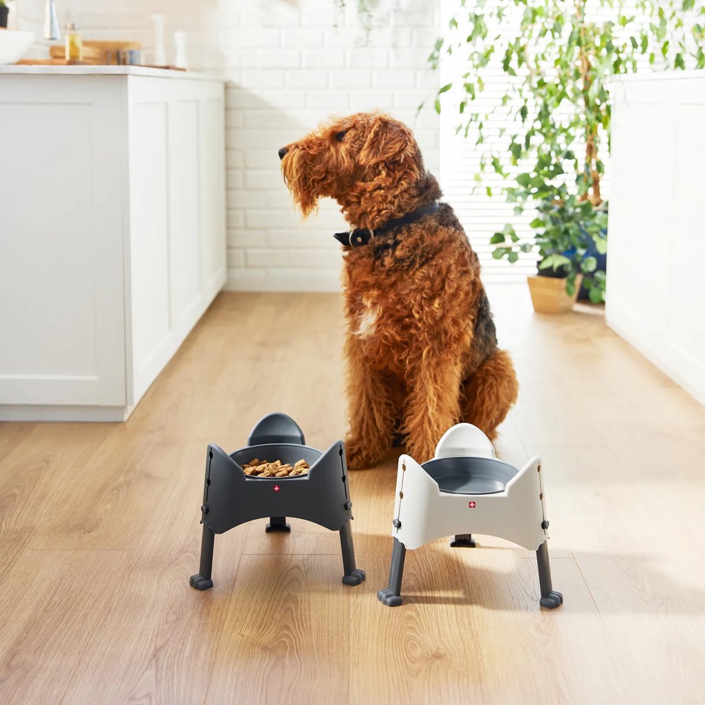 Rotho Výškovo nastaviteľná miska pre psy a mačky, 1l SAMMY - antracit