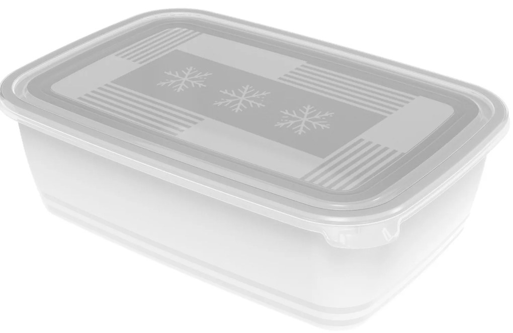 Plastové krabičky do mrazáku, Rotho FREEZE, bílá, 1 x 3,7l (30x20x9)