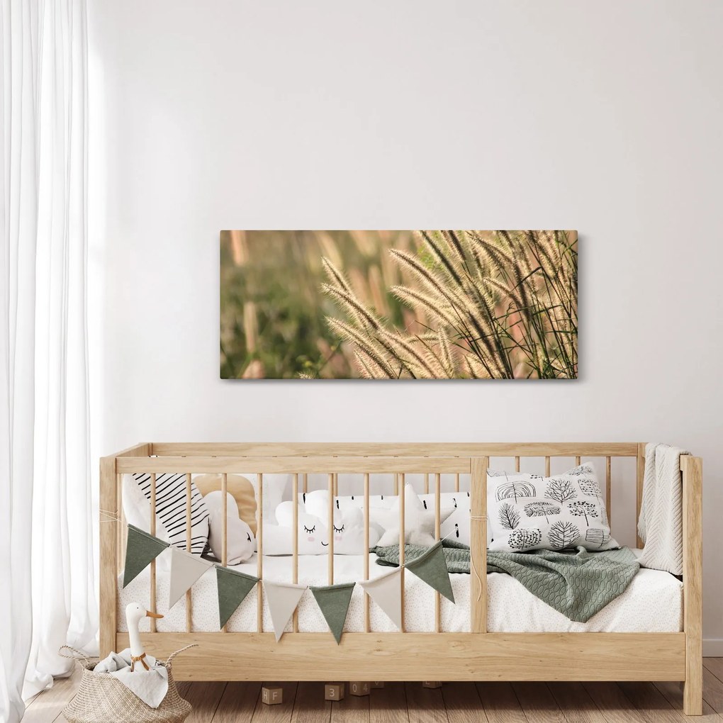 Obraz - Obilie (120x50 cm)