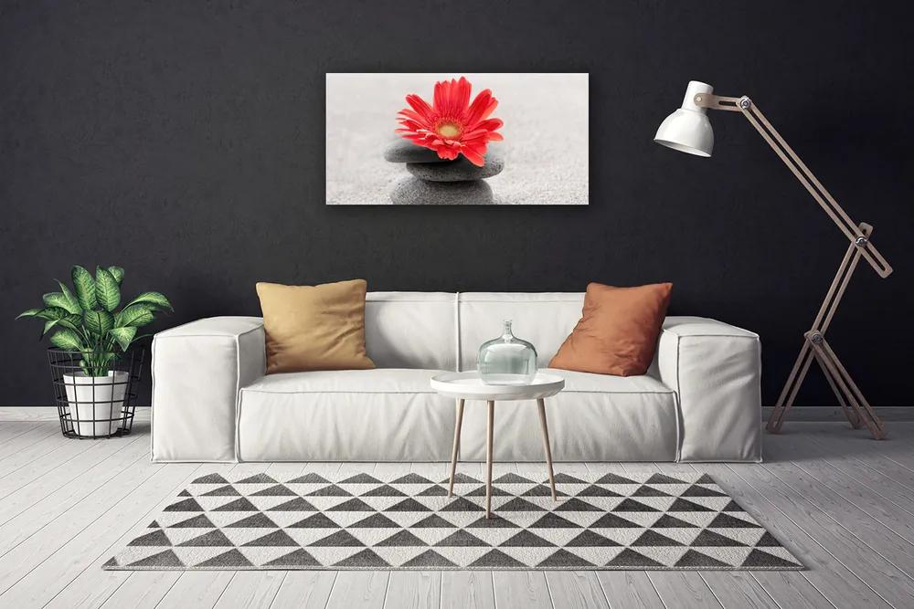 Obraz Canvas Kvet kamene umenie 140x70 cm