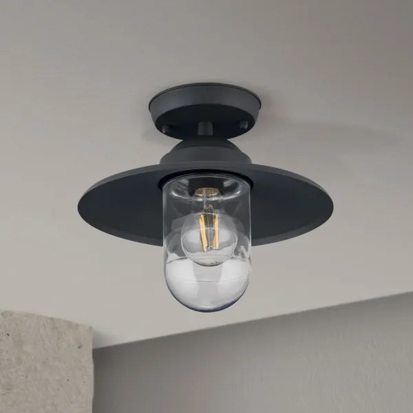 Orion AL 11-1317 - Vonkajšie prisadené svietidlo EDWARD 1xE27/60W/230V IP44 antracit