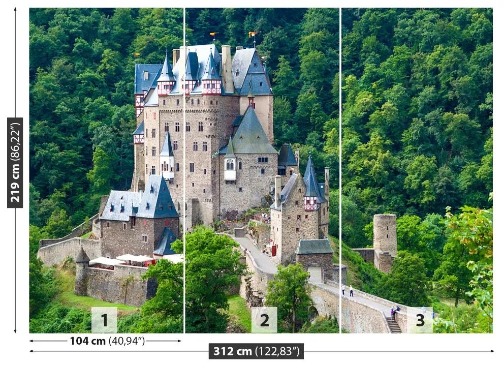 Fototapeta Vliesová Stredoveký hrad 208x146 cm