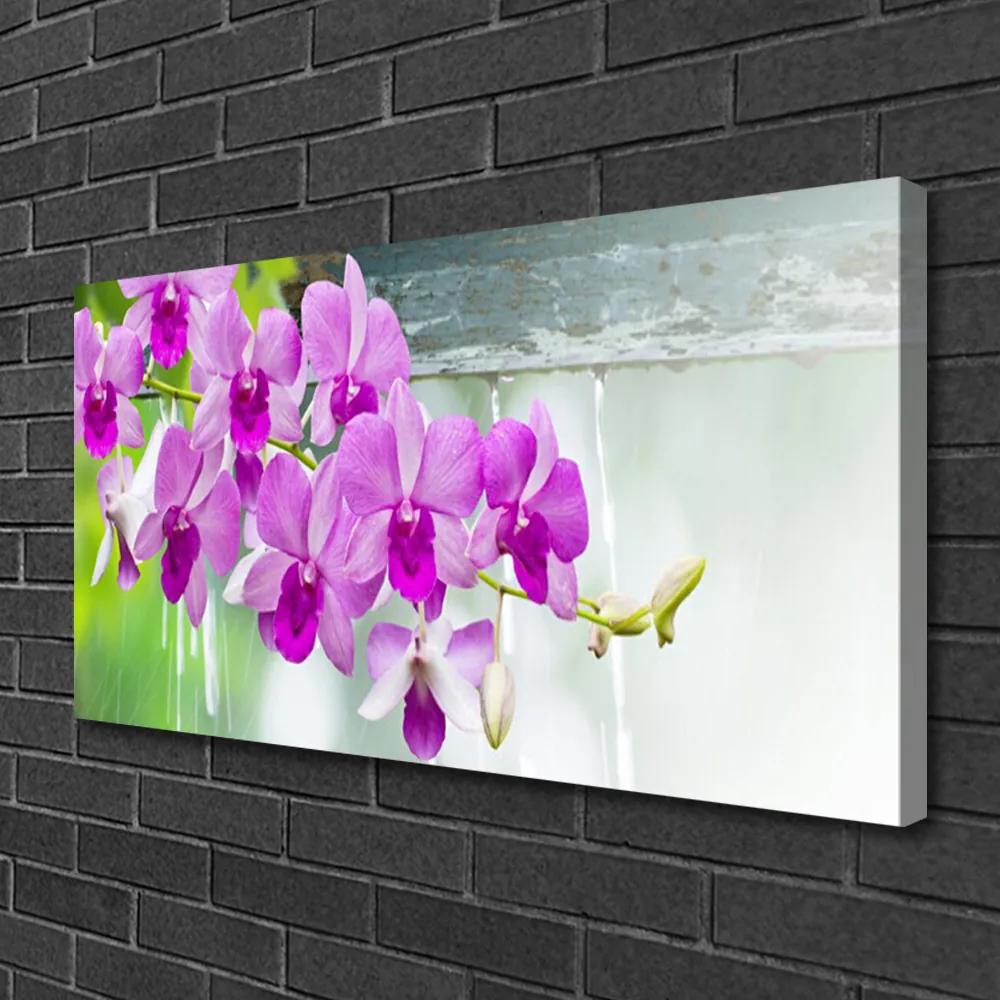 Obraz Canvas Orchidey kvapky príroda 125x50 cm