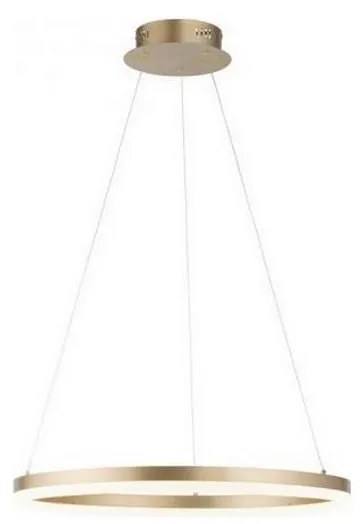 Paul Neuhaus 2382-60 - LED Stmievateľný luster na lanku TITUS LED/38,5W/230V