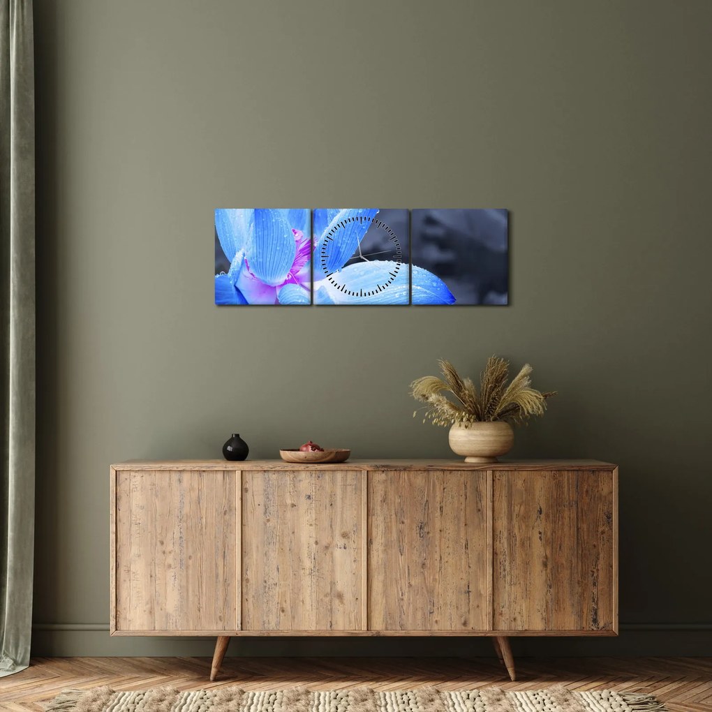 Obraz kvetu v detaile (s hodinami) (90x30 cm)