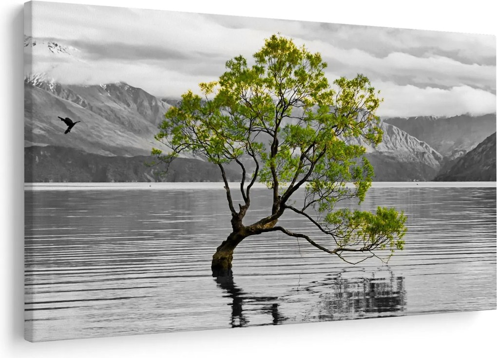 Obraz stromu uprostred jazera (90x60 cm)