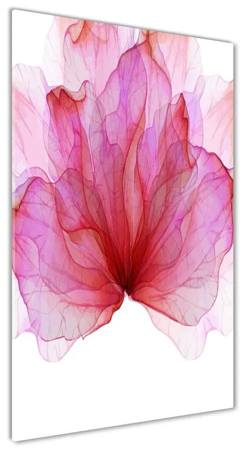 Moderný akrylový fotoobraz Ružový kvet pl-oa-70x140-f-98648030