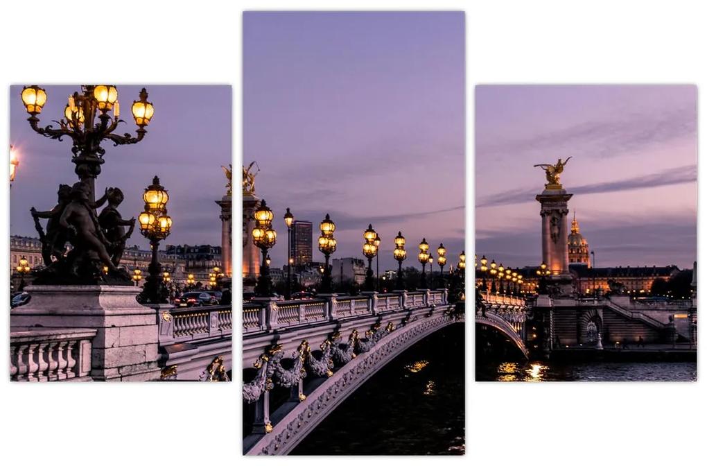 Obraz - Most Alexandra III. v Paríži (90x60 cm)