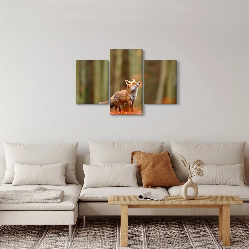 Obraz - Líška (90x60 cm)