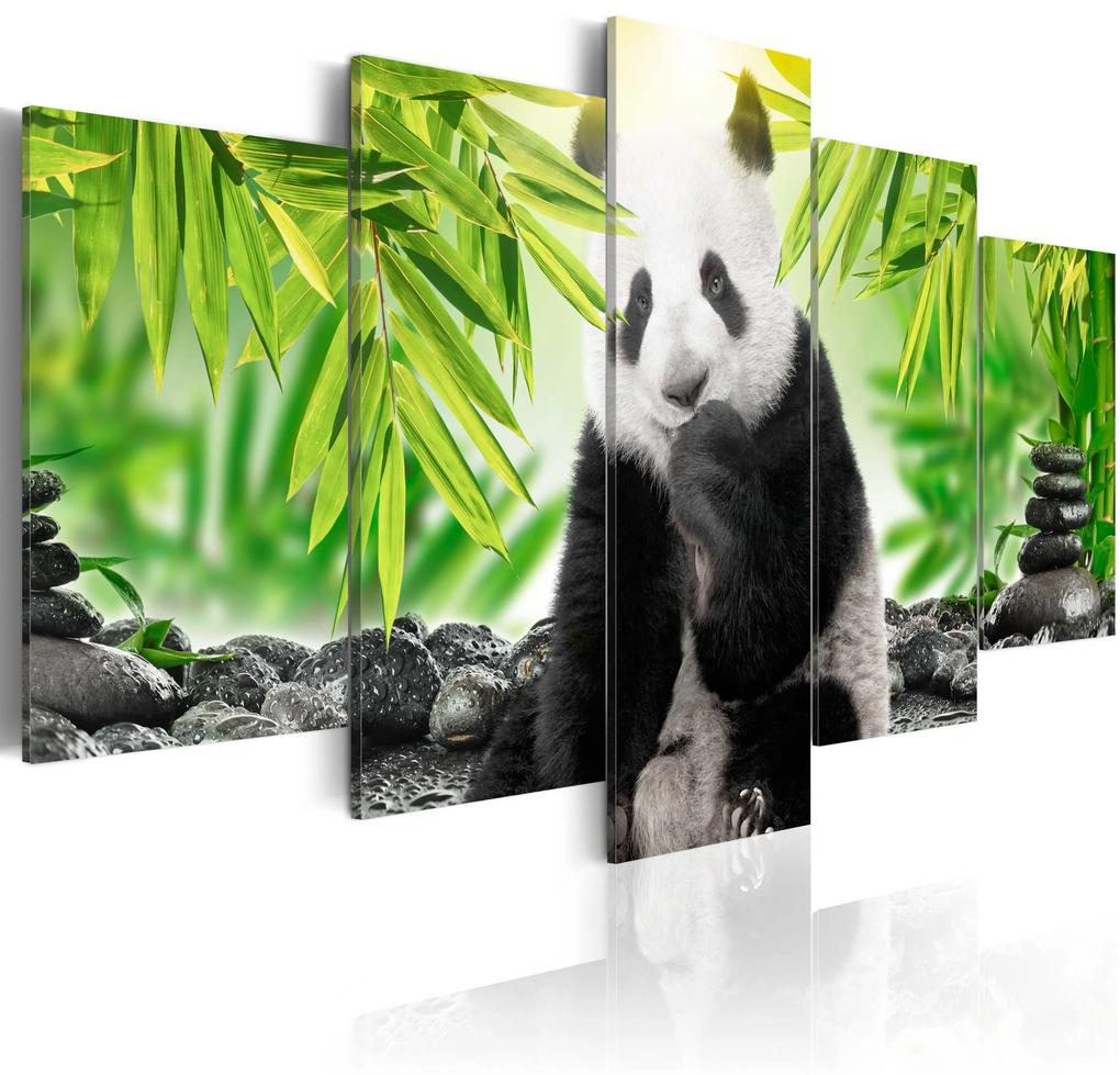 Artgeist Obraz - Sweet Little Panda Veľkosť: 100x50, Verzia: Na talianskom plátne