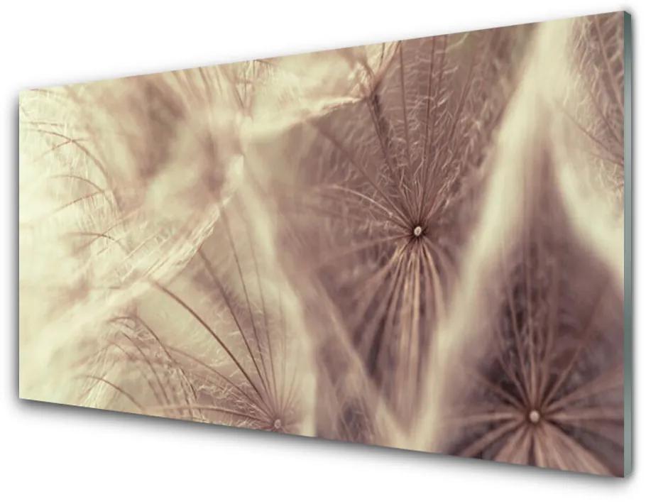 Skleneny obraz Púpava rastlina 140x70 cm