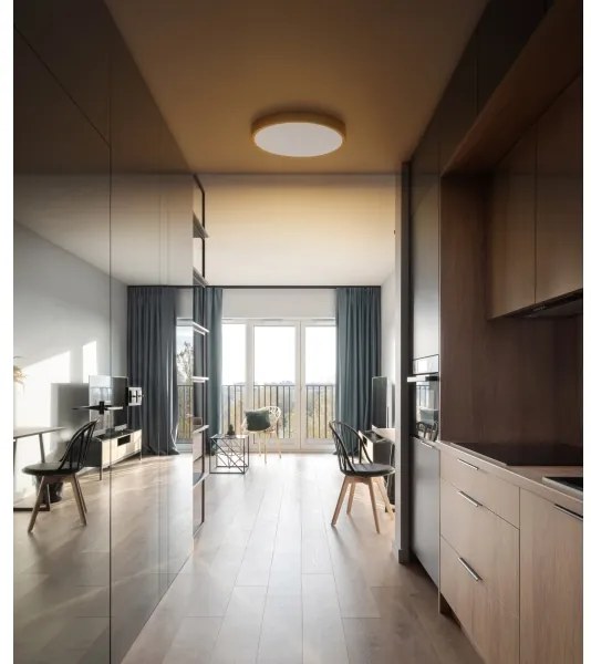 Globo 12381-22 - LED Stropné svietidlo TIBEY LED/22W/230V pr. 35 cm