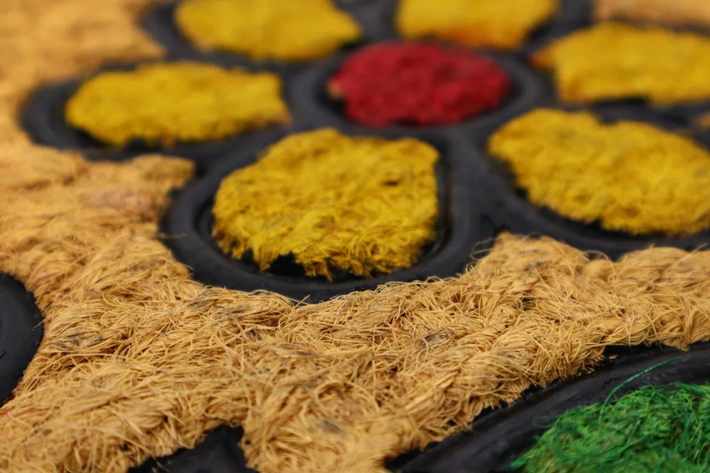 Rohožka Kokos + guma Tri kvety – na von aj na doma, 40x60, viacfarebná, chodba / predsieň, Hamat