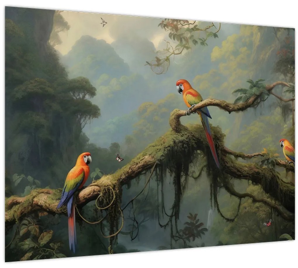 Obraz - Tropický les (70x50 cm)