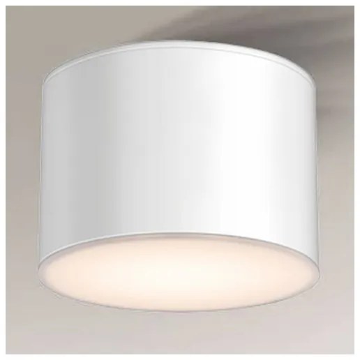 Shilo 7075 - Stropné svietidlo SUWA 1xGX53/15W/230V biela