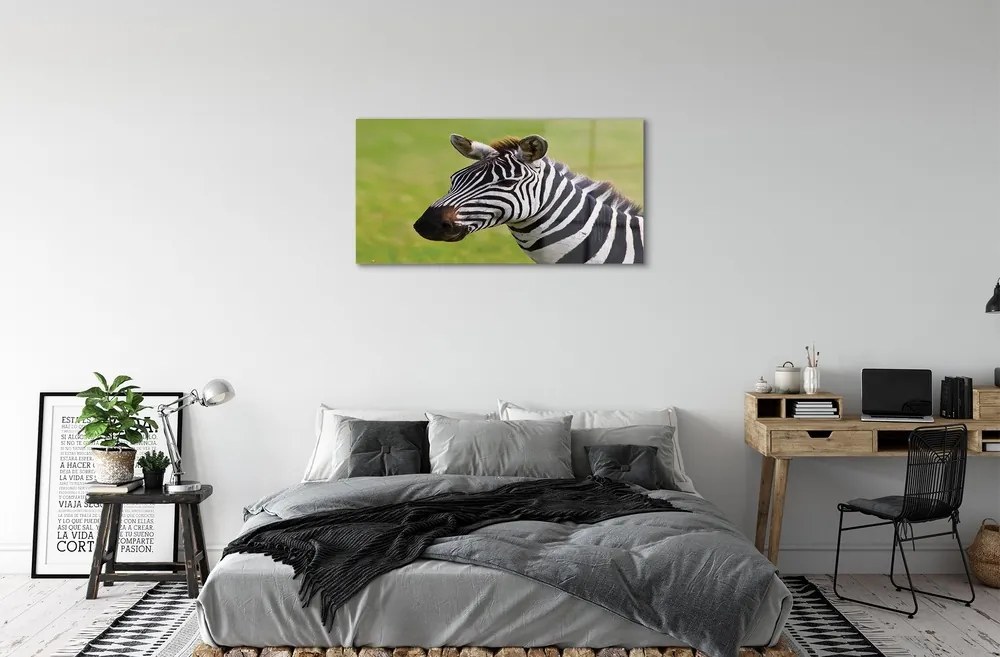 Sklenený obraz zebra 120x60 cm