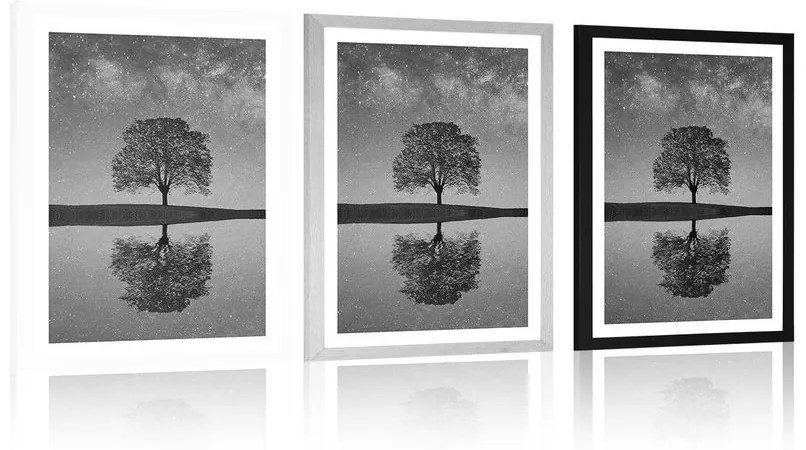 Plagát s paspartou hviezdna obloha nad osamelým stromom v čiernobielom prevedení - 30x45 white