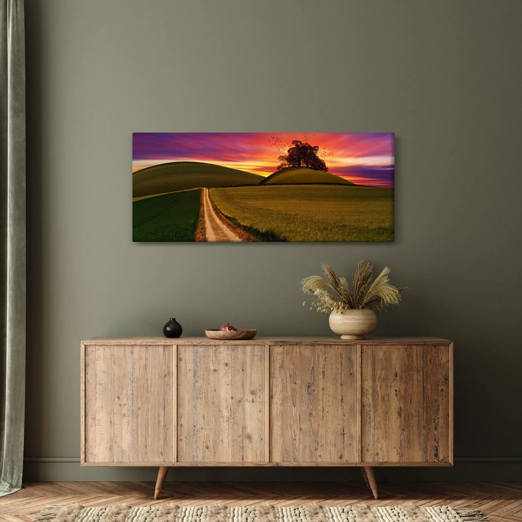 Obraz poľa a farebného neba (120x50 cm)